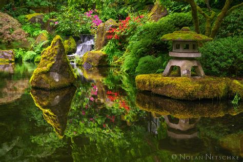 Knowing Your Gardens: Reflections on a Japanese Garden – A Journey Through Simplicity and Contemplation