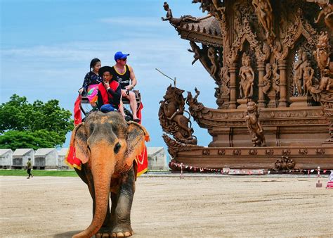  Where Elephants Weep: Un Viaggio Attraverso i Labirinti dell'Amore in Thailandia